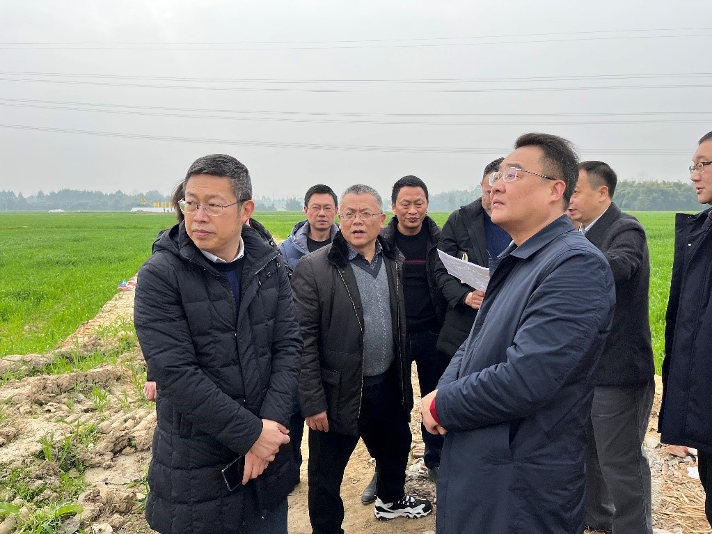 省社、省供投集團(tuán)領(lǐng)導(dǎo)調(diào)研青白江區(qū)四川現(xiàn)代供銷種業(yè)園區(qū)