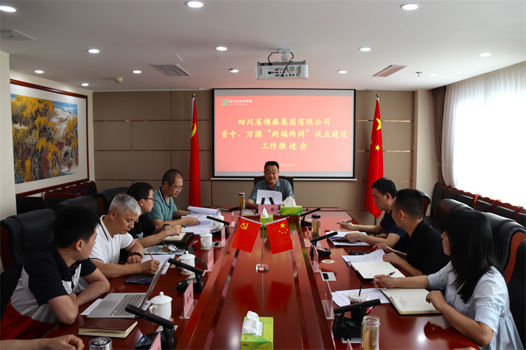 鄧華主持召開資中、萬源“兩端兩網(wǎng)”試點建設(shè)工作推進會