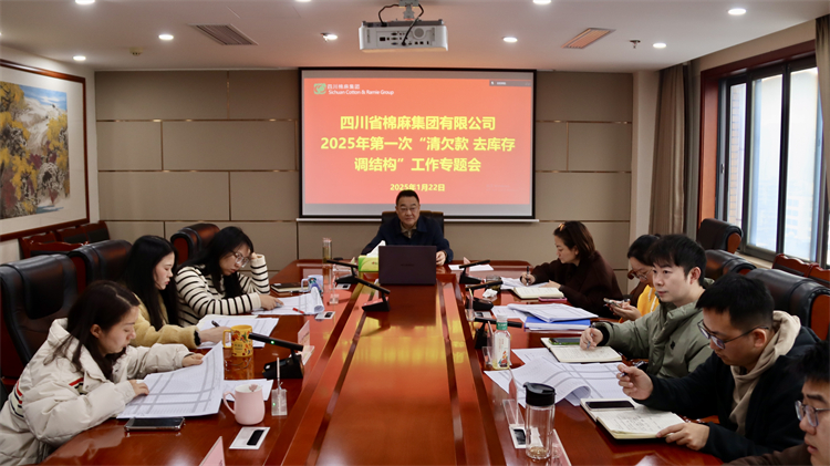 集團(tuán)公司召開2025年第一次“清欠款、去庫存、調(diào)結(jié)構(gòu)”工作專題會(huì)